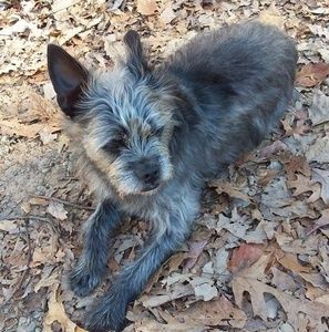 Meet your Posher, Dolly